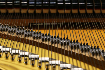 Grand piano, detail of the internal architecture and musical strings
