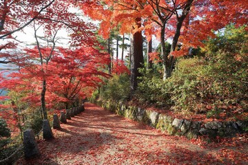 奈良県　吉野山の紅葉