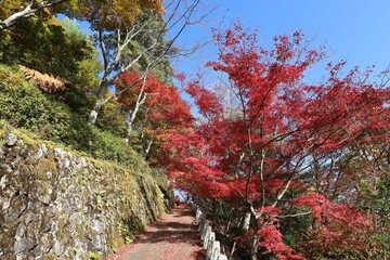 奈良県　吉野山の紅葉