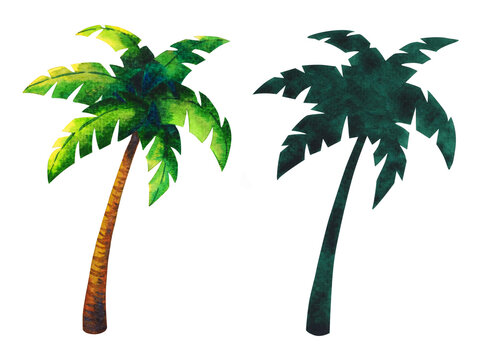 palm tree coconut art watercolor painting illustration design set green summer