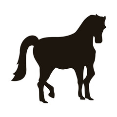 horse animal silhouette figure icon