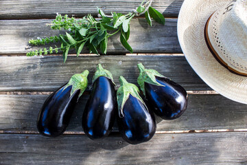 Huerta Ecológica de verduras