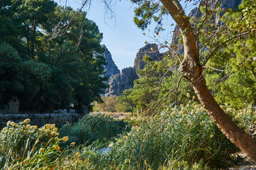 Ruins of Olympos Turkey