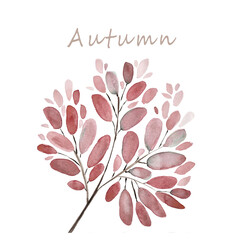 Autumn leaves and branches watercolor illustration background. Hand painted floral elements set. Watercolor botanical illustration.