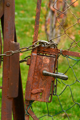 rusty garden gate on green background and lock