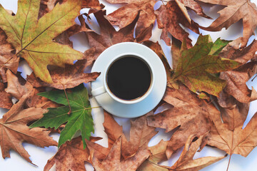 A cup of coffee with cappuccino and autumn leaves on white background. Autumn decor, fall mood, autumn still life.