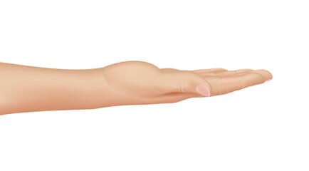 Woman hand on white background, realistic vector illustration