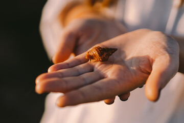 Inhabitants of the sea. The girl holds a sea inhabitant in a shell on her hand. 