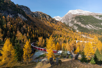 Landscape of a train on hills covered in trees under the sunlight and a blue sky in autumn © Karen Halstead/Wirestock