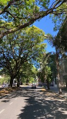 el Boulevard de la ciudad de Santa Fe