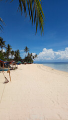 Nice Beach With Palm Trees