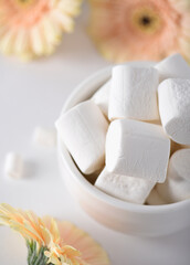 Sweet snow-white dessert on a light background
