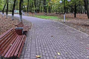 Bench in the autumn park.