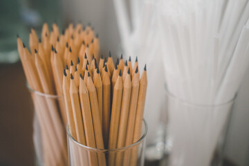 Stock of brown pencil  prepared for seminar.