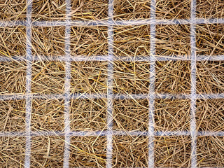 Full Frame Background of Dry Brown Hay with Blurred Wire Mesh on Top