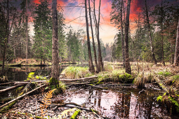 Fototapety na wymiar - Fototapeta24.pl