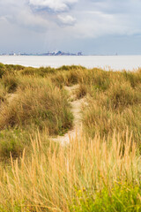 A sandy path through dune vegetation points to a port and its pollution under a cloudy sky.