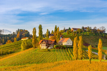 Autumn landscape with South Styria vineyards, known as Austrian Tuscany, a charming region on the...