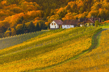 Autumn landscape with South Styria vineyards,known as Austrian Tuscany,a charming region on the...