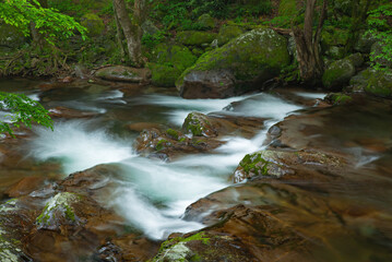 Summer landscape of a rapids and cascade on Cosby Creek, Great Smoky Mountains National Park, Tennessee, USA