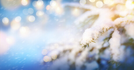 A Christmas and New Year winter background of snow on a Christmas tree and blurred lights.