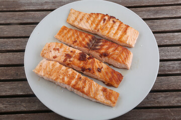 salmon