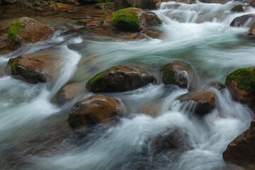 Summer landscape of a rapids and cascade on Big Creek, Great Smoky Mountains National Park, Tennessee, USA