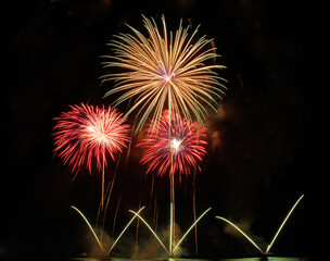 Colorful fireworks