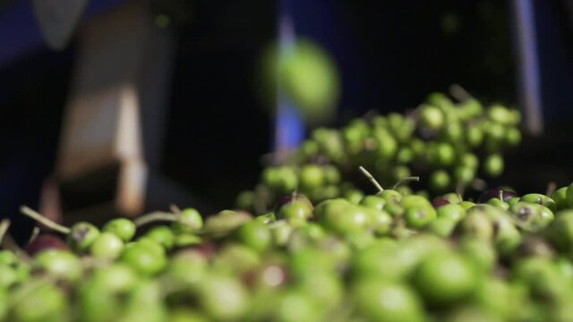 Olive in ultra slow motion