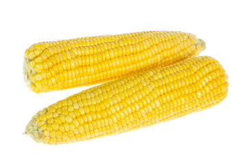 An ear of corn isolated on a white background