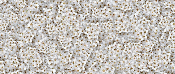 Top View autumn leaves texture background