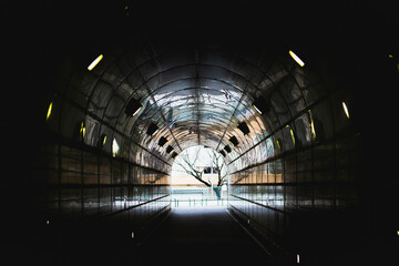 トンネルを抜けた光