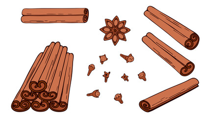 Vector illustration. Set of Cinnamon sticks, star anise, clove isolated on white. Delicious spicy seasoning for dessert, coffee, mulled wine, eggnog. Hand drawn doodle clipart. Menu, banner, collage.