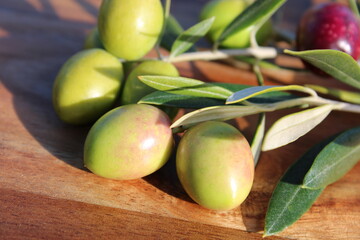 Branche avec olives sur fond bois