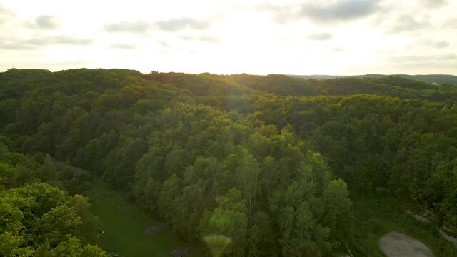 Beautiful Forest With Lush Treetops In Polanka Redlowska, Gdynia, Poland - Aerial Drone Shot