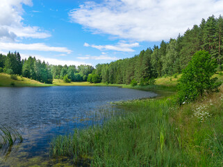 Fototapeta na wymiar Landscape of Dobellus Duzy Lake in Suwalszczyzna, Poland at a day.