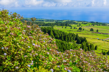 Fototapeta na wymiar Beautiful landscape in Azores