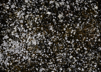 winter background and texture snow wallpaper