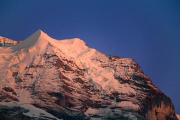 The distinctive snow-clad cone of the Silberhorn, part of the Jungfrau massif, Bernese Oberland, Switzerland, lit by the evening sun - Alpenglow