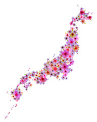 Map of Japan created by colorful cherry blossoms or sakura flower on white background, for wallpaper, backdrop, texture or background.