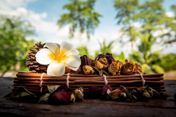Plumeria flower and dried roses flower on the wooden mat with sunshine, decoration with a pine cone on the wooden table.