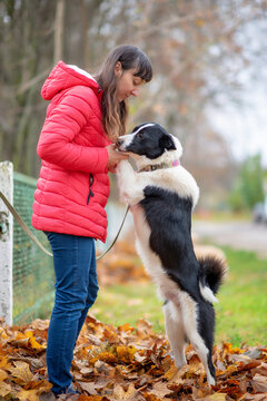 A dark-haired girl in a red jacket plays with a dog in an autumn park.