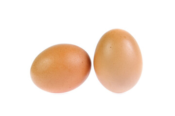chicken egg