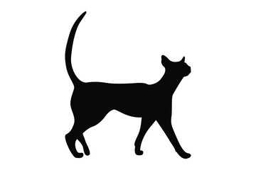 Vector silhouette of a cat. Pet. Silhouettes of cats. Beautiful feline silhouette of a walking cat.
