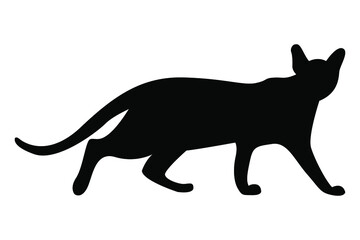 Vector silhouette of a cat. Pet. Silhouettes of cats. Beautiful feline silhouette of a prowling cat. A wary silhouette.