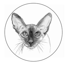 Portrait of a beautiful Abyssinia cat. Vector illustration