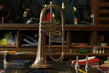 Trompete Instrument Blechblasinstrument Musik
Töne Luftklappen Kupfer Holz Instrumentenbauer
Gold 
