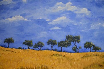 Obraz premium Campo con olivos