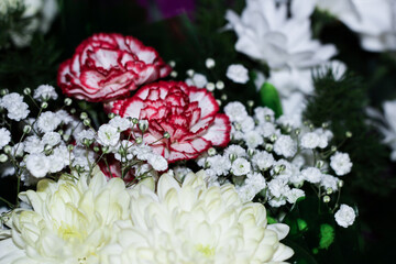 A bouquet of white flowers on a delicate background.