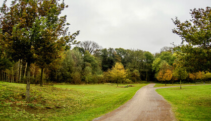  Ein Herbsttag im Wald.